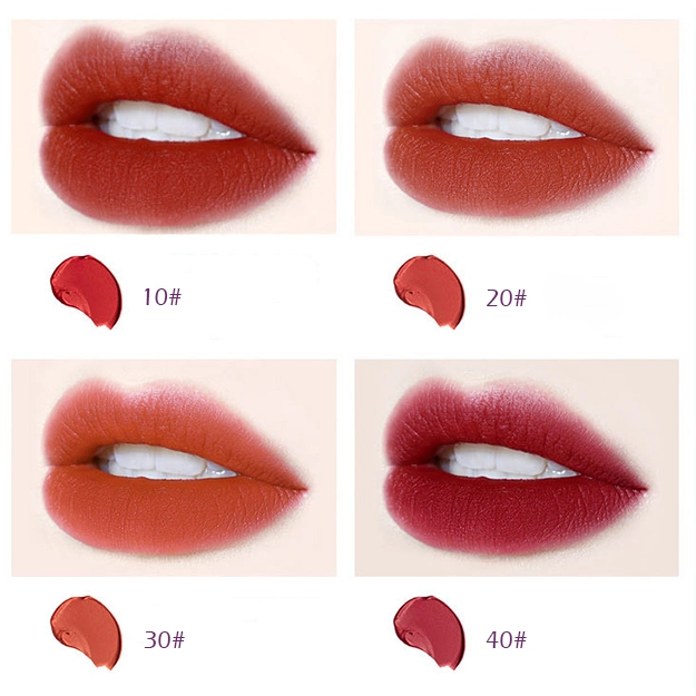 Professionelle Custom Make-Up Kosmetik Feuchtigkeitsspendende Nebel Seite Samt Matte Lip Hersteller Für Glanz