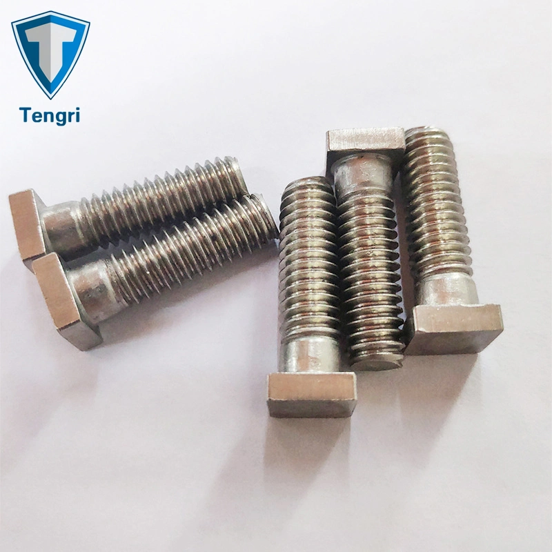 Special Fastener Square Head T Bolt Hanger Bolt Hand Bolt Stainless Steel