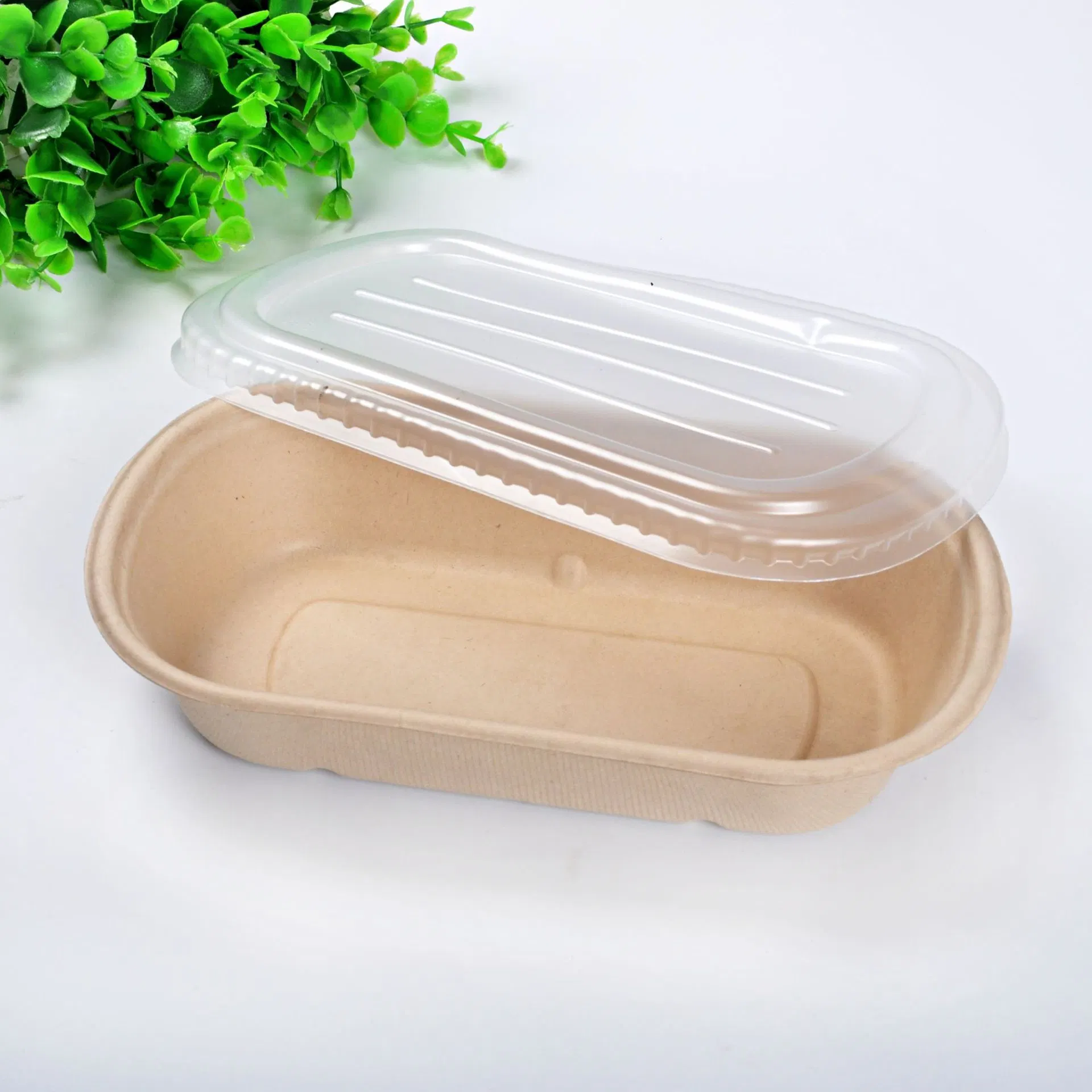 Microwaveable Food Packaging Box Disposable Sugar Cane Pulp Bagasse Food Container Natural Color White Takeaway Fast Food Box with Lid