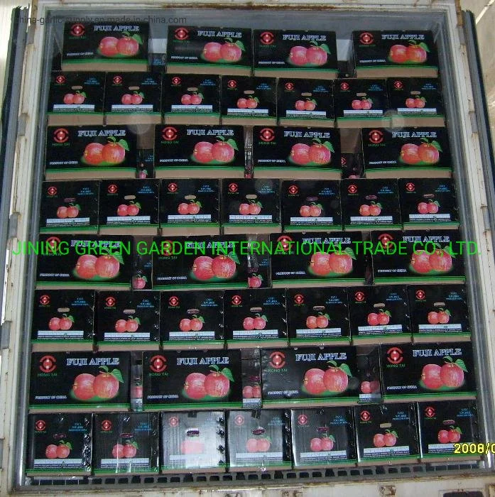 High quality/High cost performance Hot Sale Good Taste Fresh Apple Cheap Apple Fruit Price