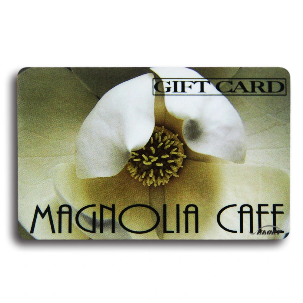 Business/Gift/Membership Card para Hotel/Game System/Amusement Park fabricado em PVC/Pet/Paper