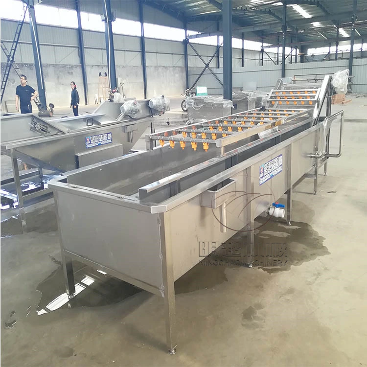 Multi Function Fruits and Vegetable Cleaner Machine