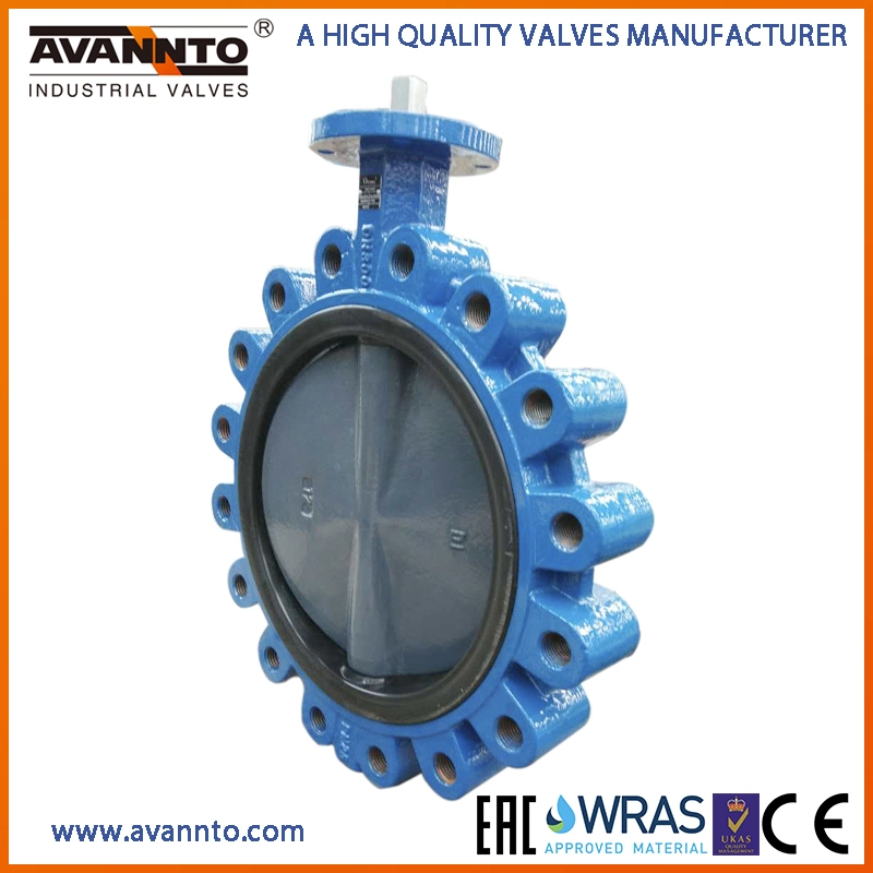 Double Eccentric High Performance Lug Type Butterfly Valve