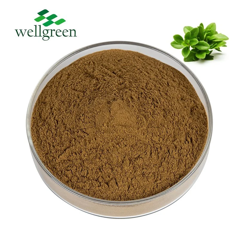 Hierba china de fábrica de la planta muestra gratis granel Thymus serpyllum orgánica natural en polvo extracto