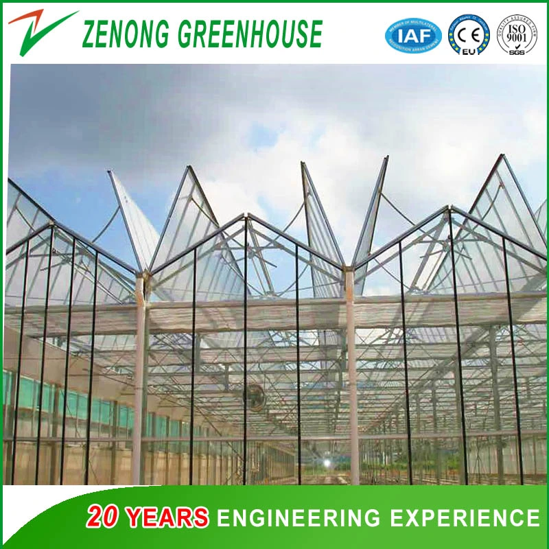 Intelligent/Automatic Control Glass Greenhouse with Nft Hydroponic Cultivation System