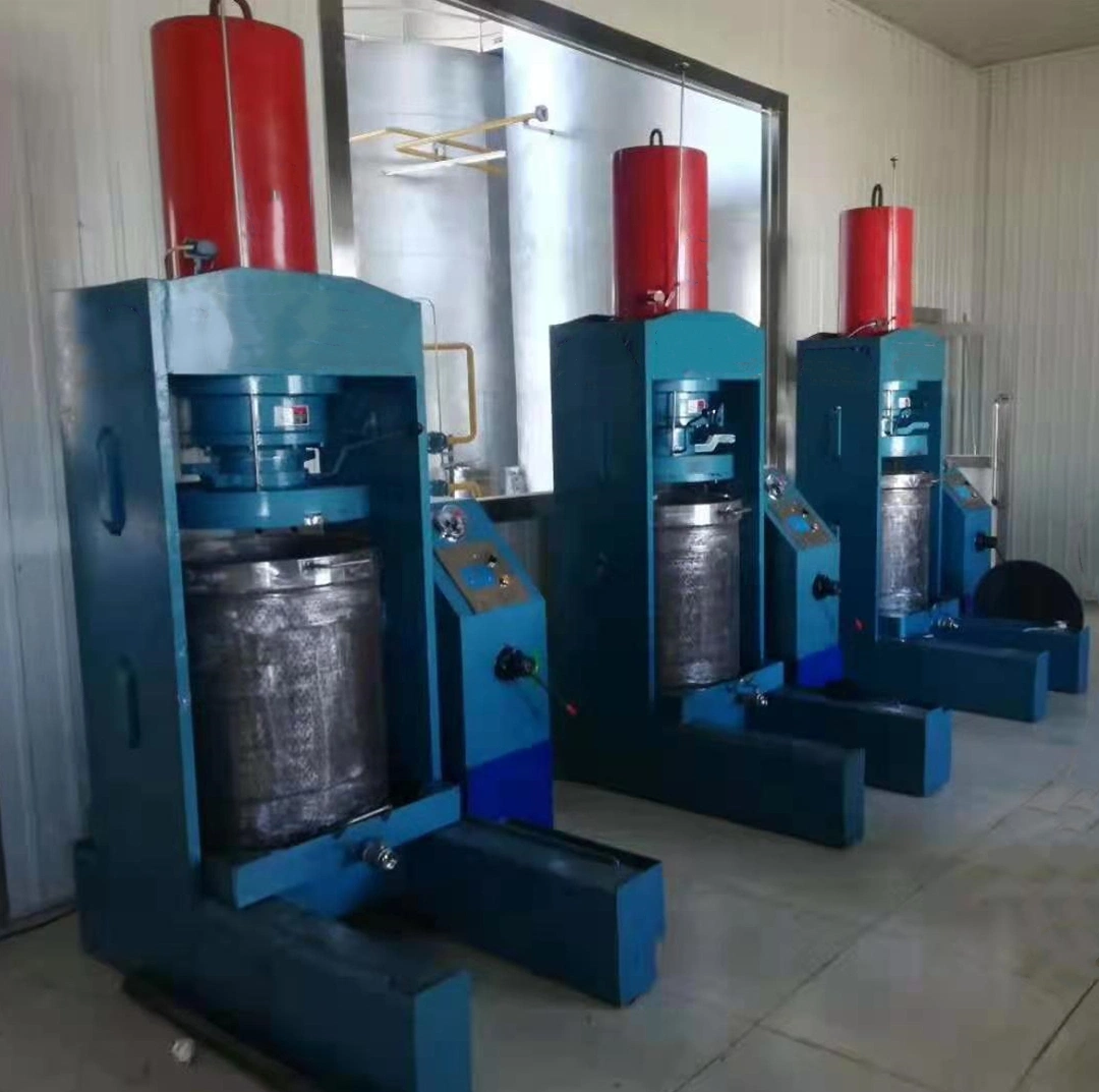 Hot Sale 500kg/H Avocado Oil Cold Extraction Line