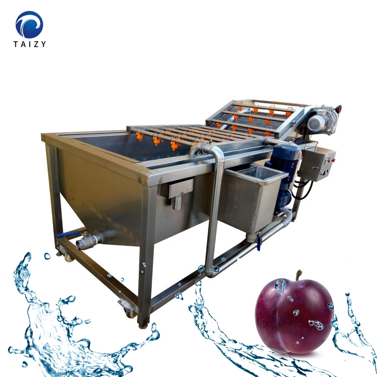 Apple Grapes Washing Machine Industrial Dates Tomatoes Washer Stainless Steel