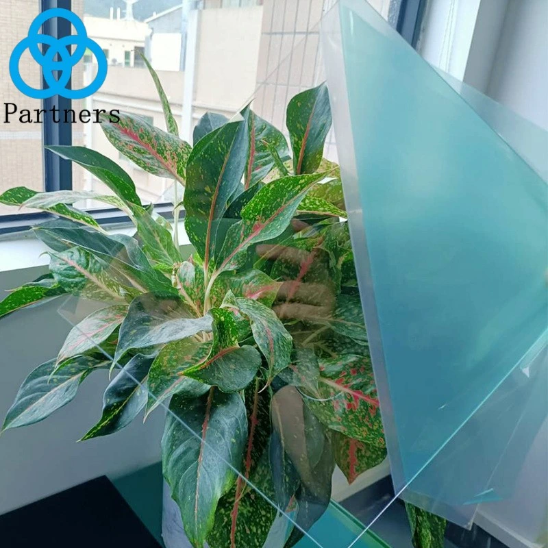 PVC Board Hard Transparent PC Film Frosted Color PP Plastic Board Pet Soft Sheet