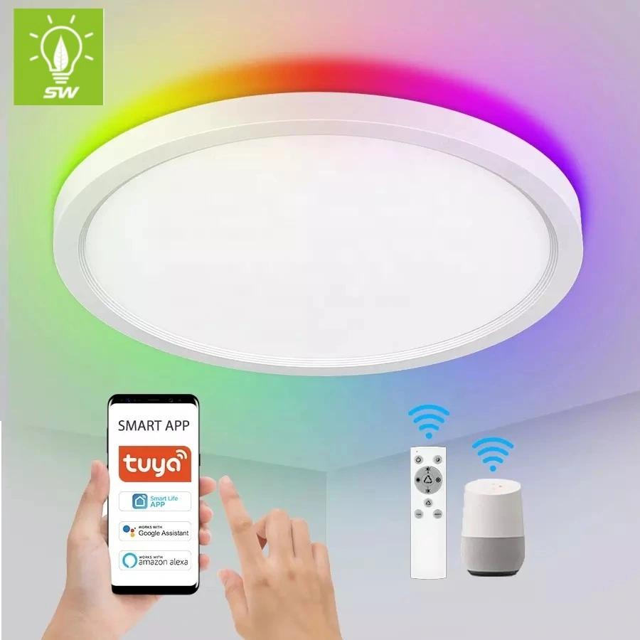 CCT LED Spot Down Lights RGB LED Downlight Dimmable Energy Saving Indoor Ceiling Die-Casting Aluminum 12 18 25 30W Remote Control Round LED Down Panel Light