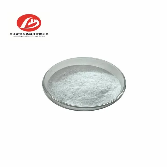 High Quality O-Acetyl-L-Carnitine Hydrochloride Powder CAS 5080-50-2 Chinese Manufacturer