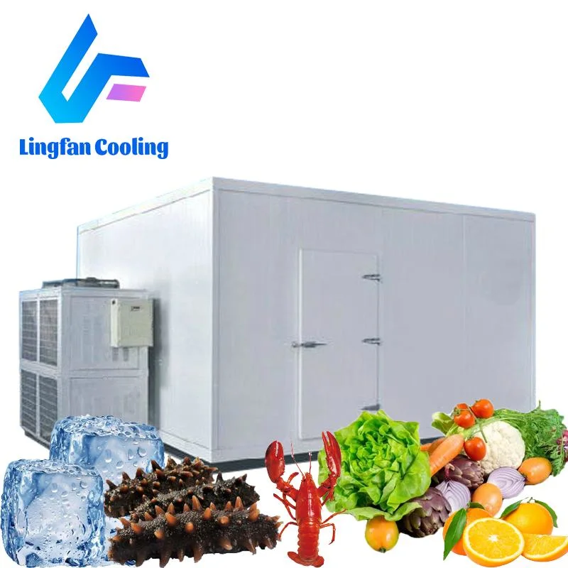 Walk in Cold Room Refrigeration Modular Cold Room Freezer Cold Storage