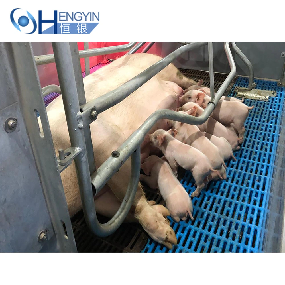 Schweinegruderkisten Bauernhof Schwein Schwangerschaft Pen Käfig Schwein Ausrüstung, Viehgeräte Schwein Landmaschinen