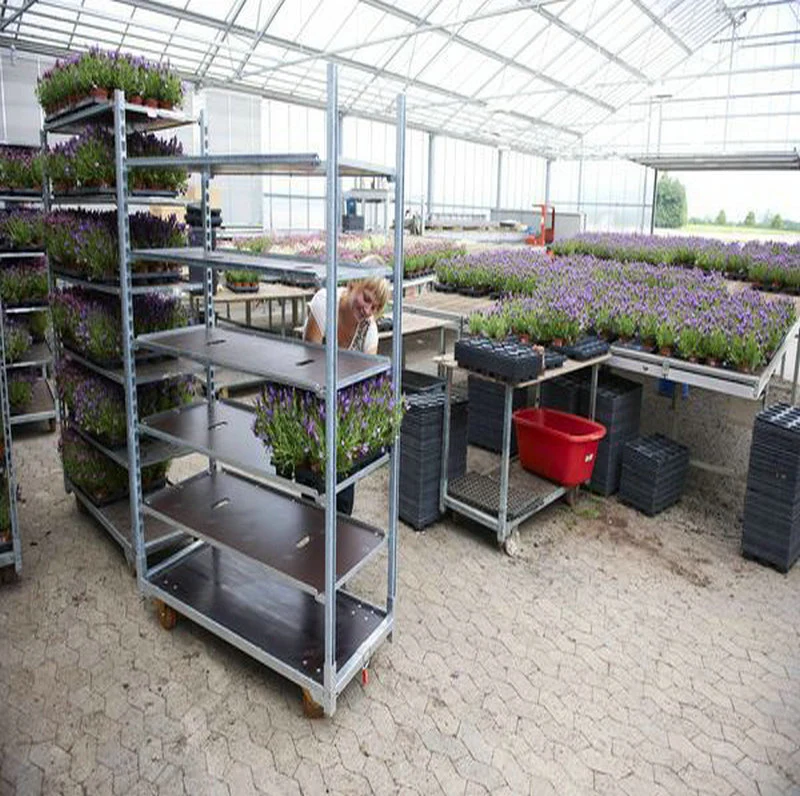 Greenhouse Transport Nursery Danish Plant Flower Trolley