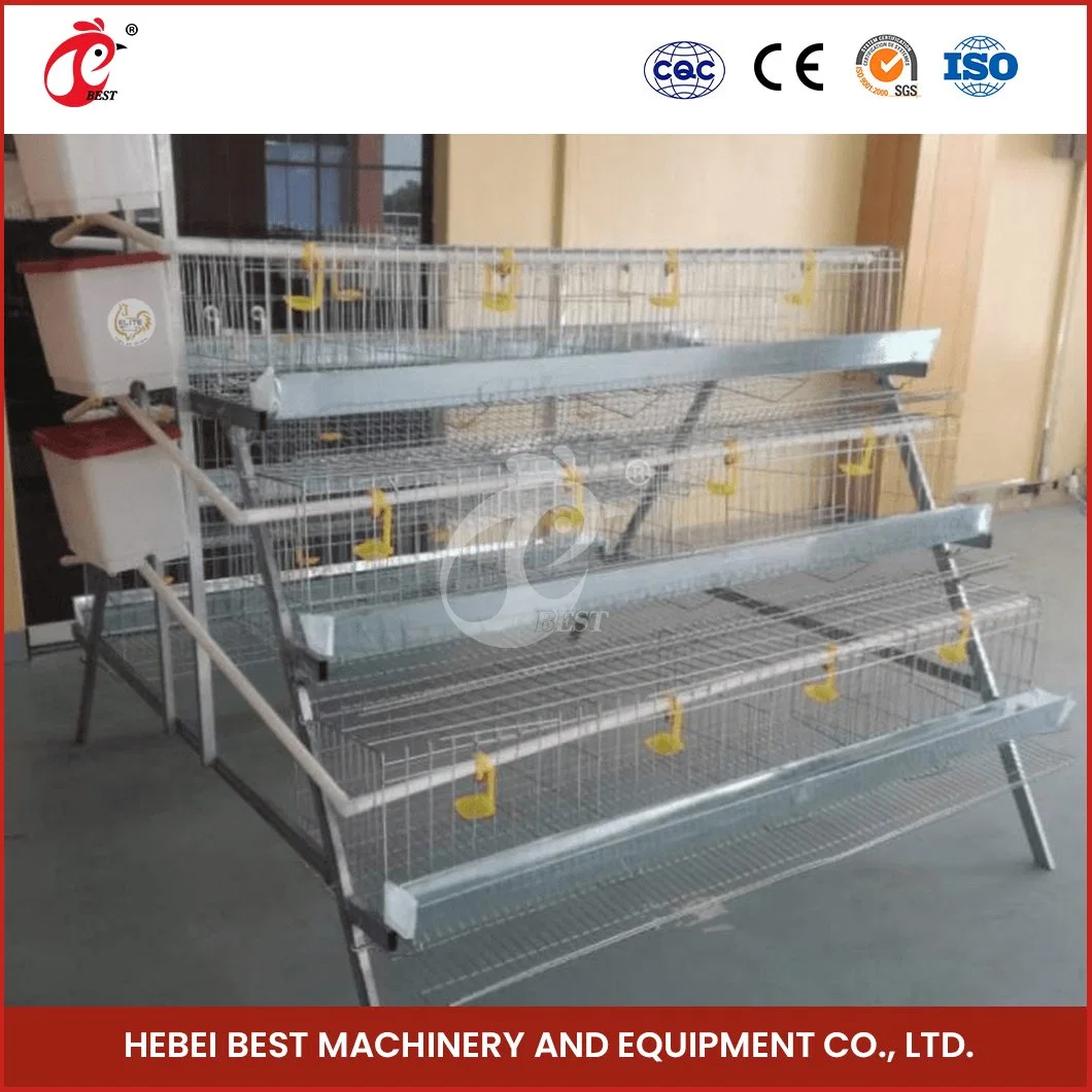 Bestchickencage A Typ Automatic Pullet Cage China Metal Chicken Brooder Haus Hersteller Hochwertige Massivholz Material H Rahmen Brooder Käfig System