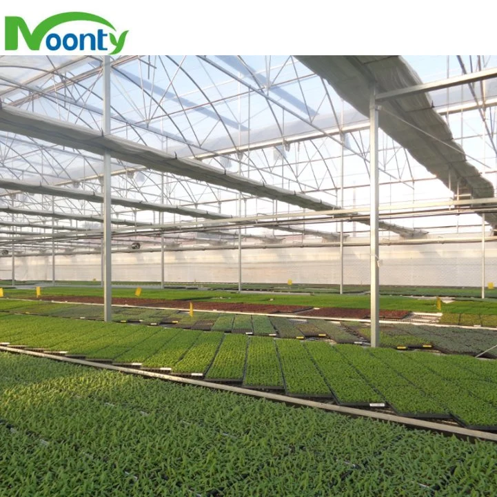 Factory Price Round Roof Multi-Span PE/Po Film Greenhouse for Vegetable/ Flower/ Herb Growing