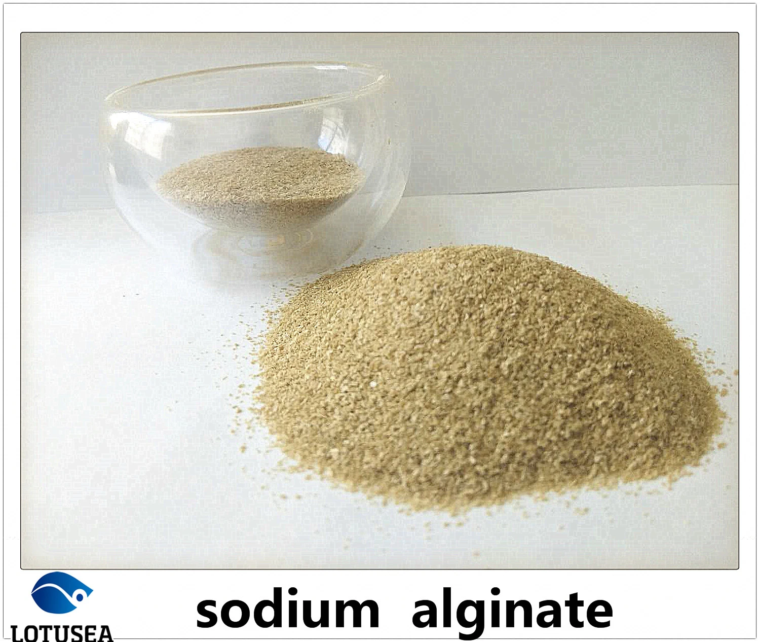 Textile Grade Reactive Dye Use Sodium Alginate 100mesh 1% 500cps
