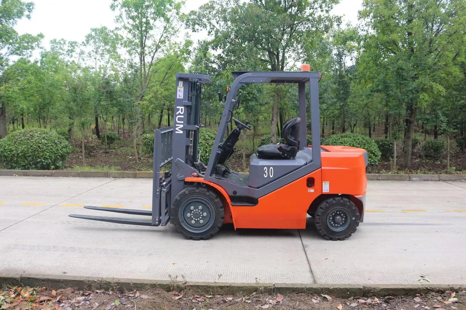 Best Price of Brand New Fd30 Diesel Forklift Truck 3t 3000kg for Promotion