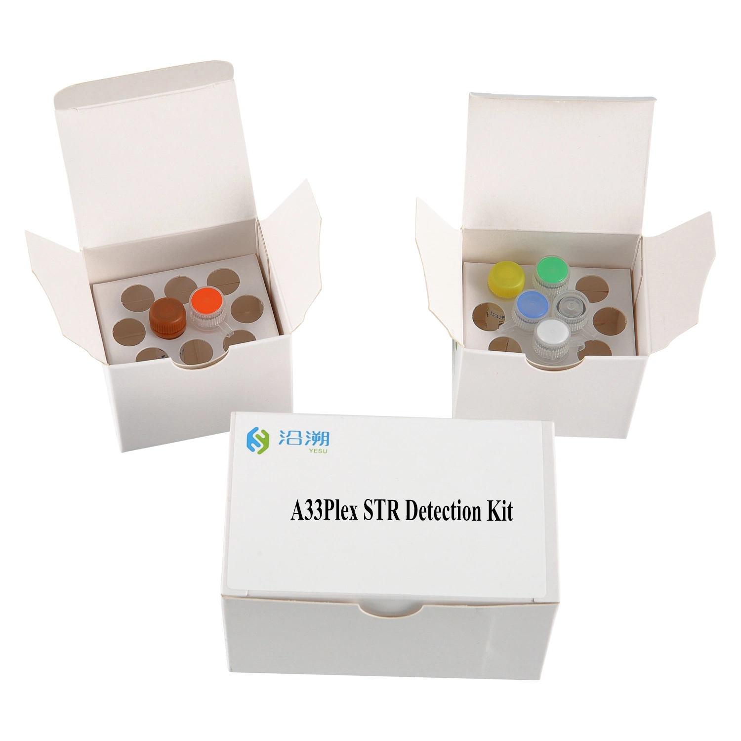 Kit de teste automático 33 loci/Kit de detecção de Str/ADN forense Kit/Teste de paternidade/seis cores reagente para PCR fluorescente/microesferas liofilizadas