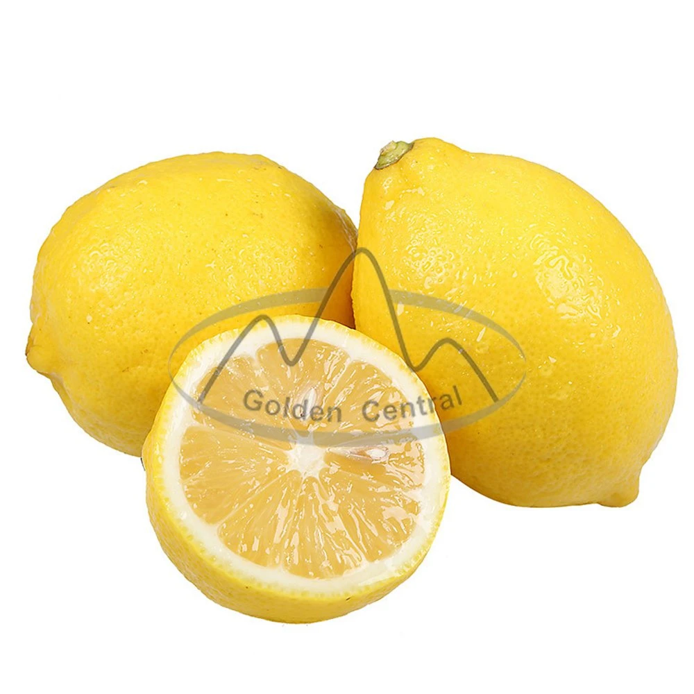 Venta caliente Precio barato Limones frescos de China