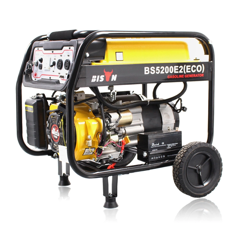 Bison 4kVA 5kw Gas Power Gasoline Generator Set