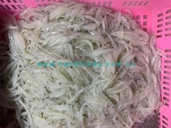 Good Quality of Healthy Seafood of Silverfish 1kg with Plastic Bag or Retail Paper Boxes