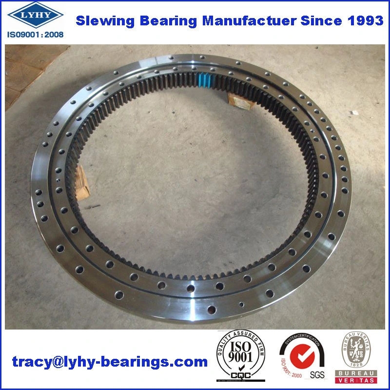 Speical Slewing Rings Slewing Gear with Internal Gear