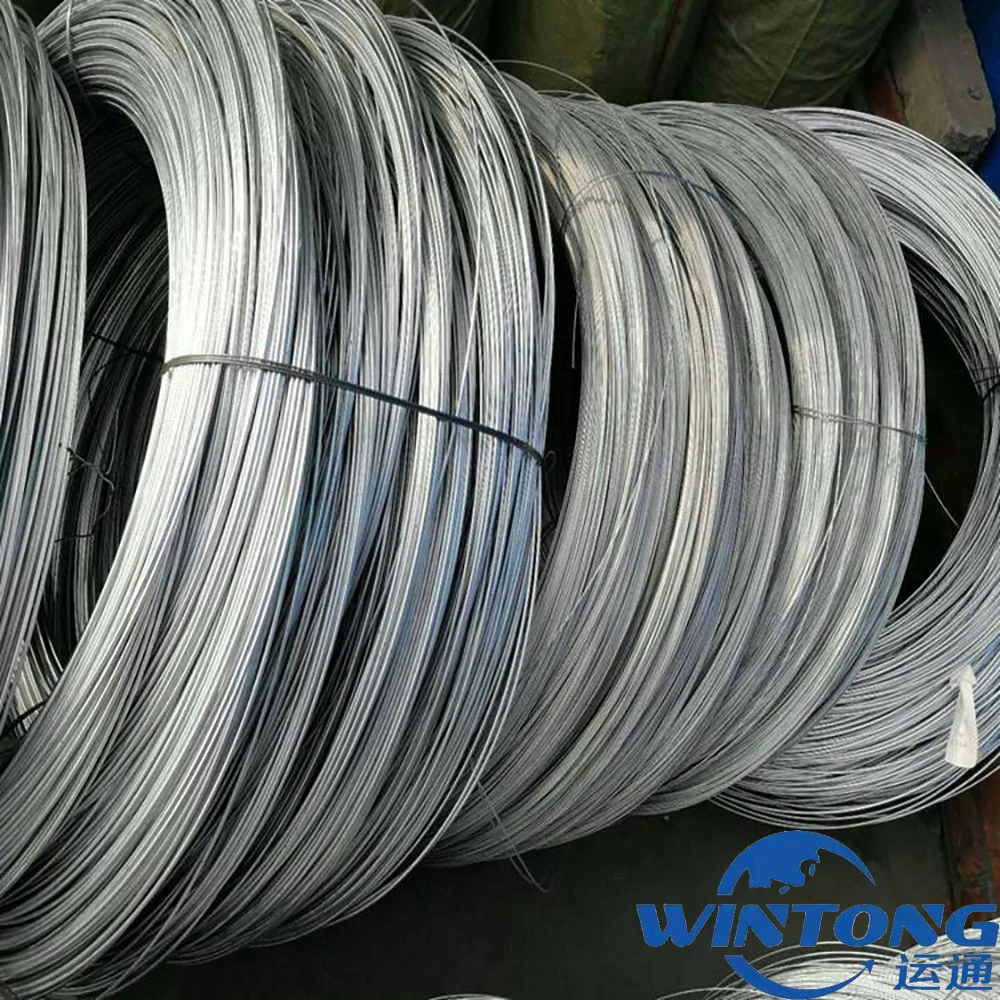 for Aquaculture Net / Corrosion Prevention /Q195/ Low Carbon Steel / Iron / Galvanized / Wire