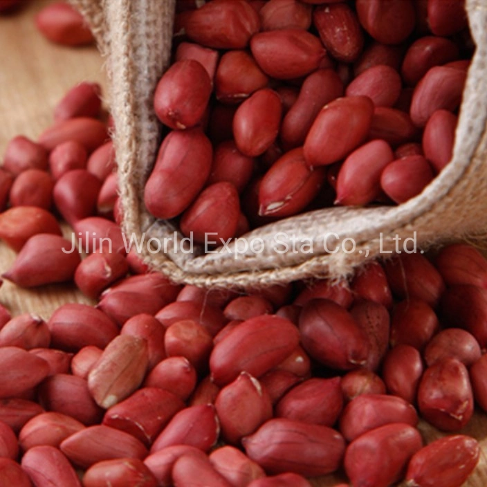 Wholesales Red Skin Peanut in Shell for Food China