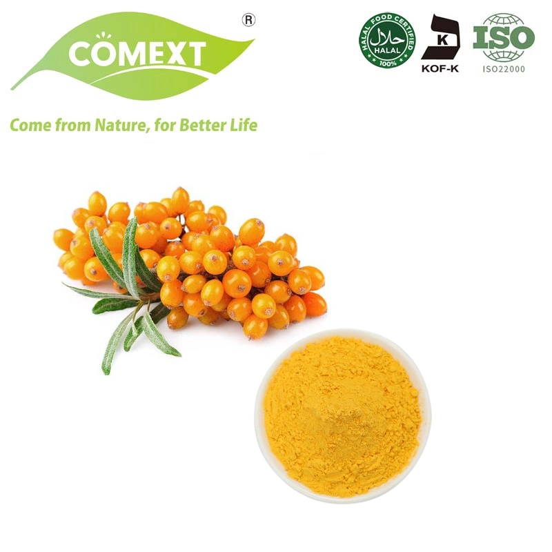 Comext Wholesale Price High Quality Seabuckthorn Extract Powder Seabuckthorn Juice Powder