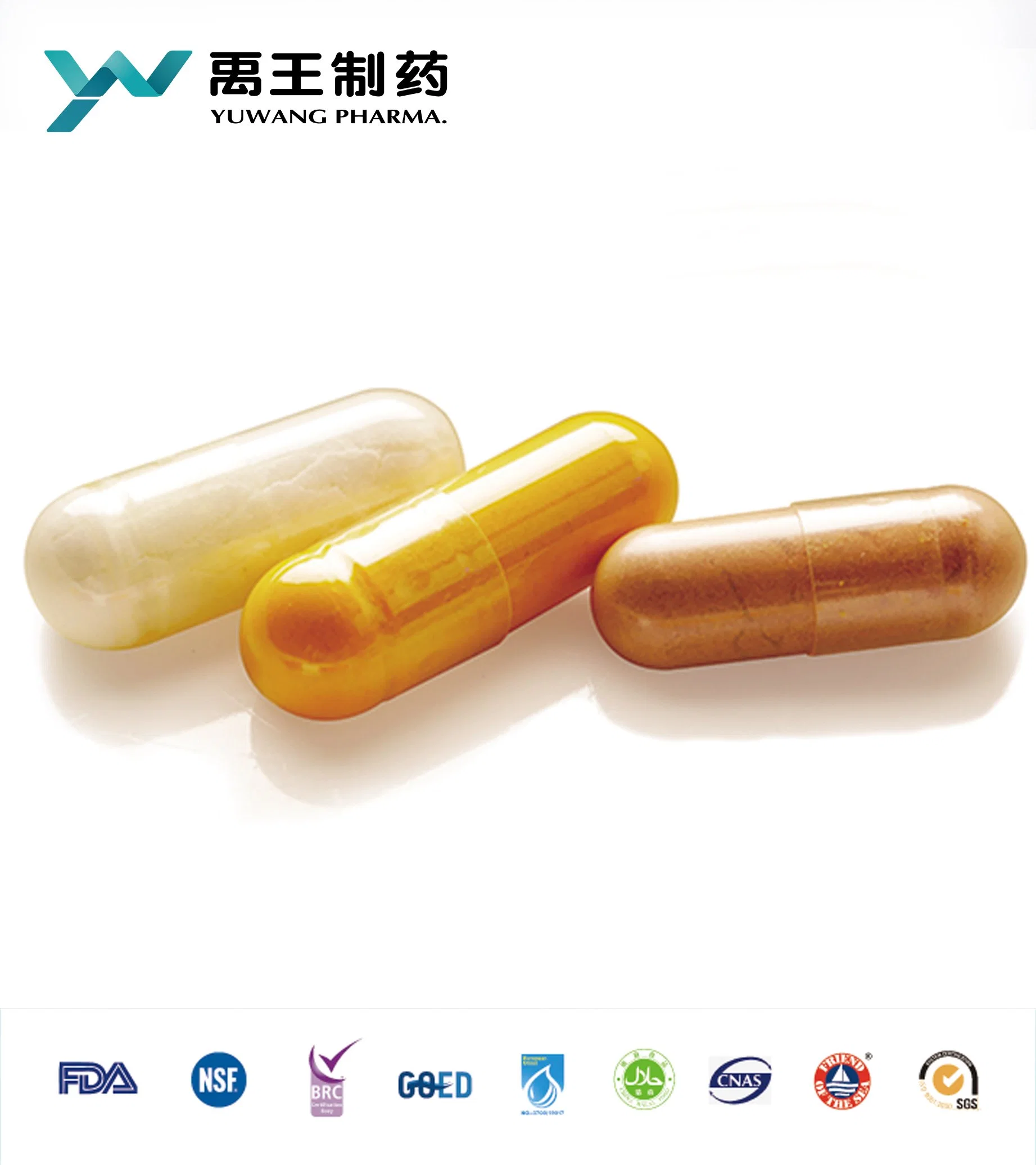 Brc/ISO Hot Sale High Quality 500mg Epimedium Estratto Capsule