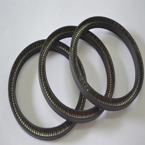 Spring Energized Seals N528 New Material PTFE+Glass for Marine Systems