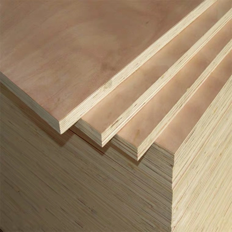 Precio directo de fábrica de madera de construcción en madera de 3mm 6mm 9mm 12mm 15mm 18mm 25mm Birch