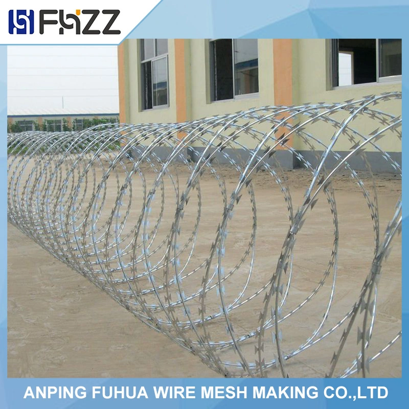 Cbt65 Single Coil Razor Barbed Wire