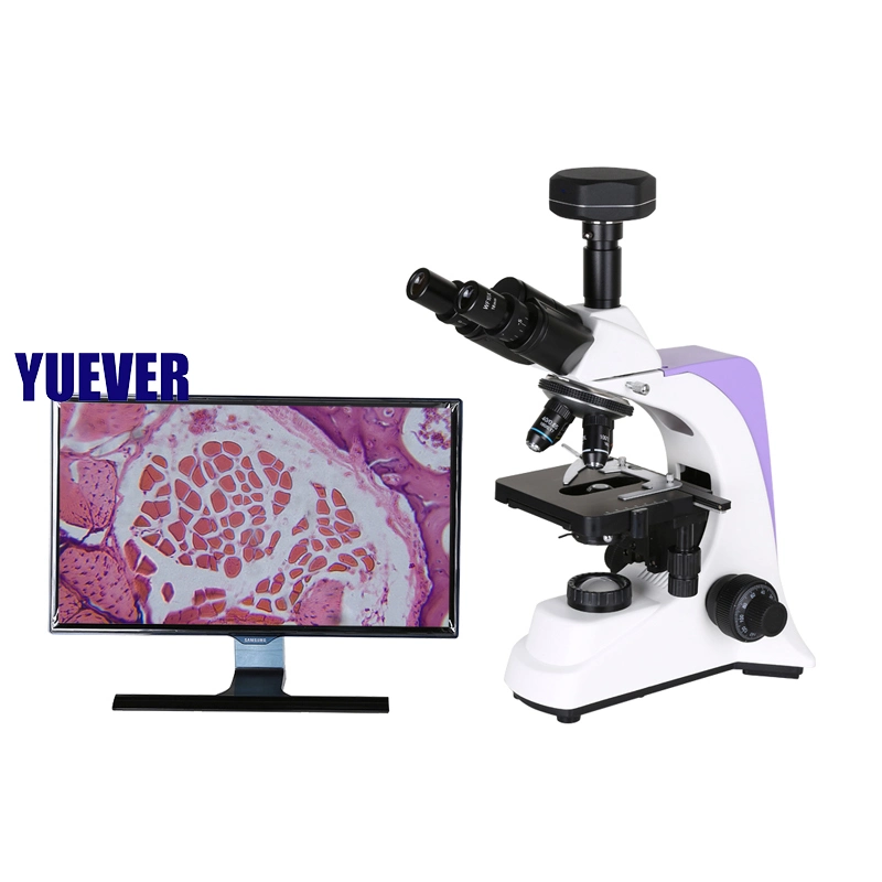 Yuever Medical Professional Lab Equipment Biological Microscope Digital Cheap Price Microscopio Biologico