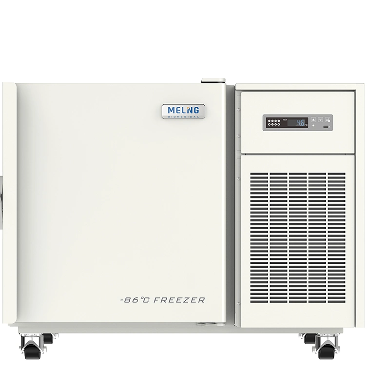 CE Confirmed Top Quality Ultra Low Temperature Refrigerator with Secop Compressor and Coil Tube Evaporator (DW-HL100HC)