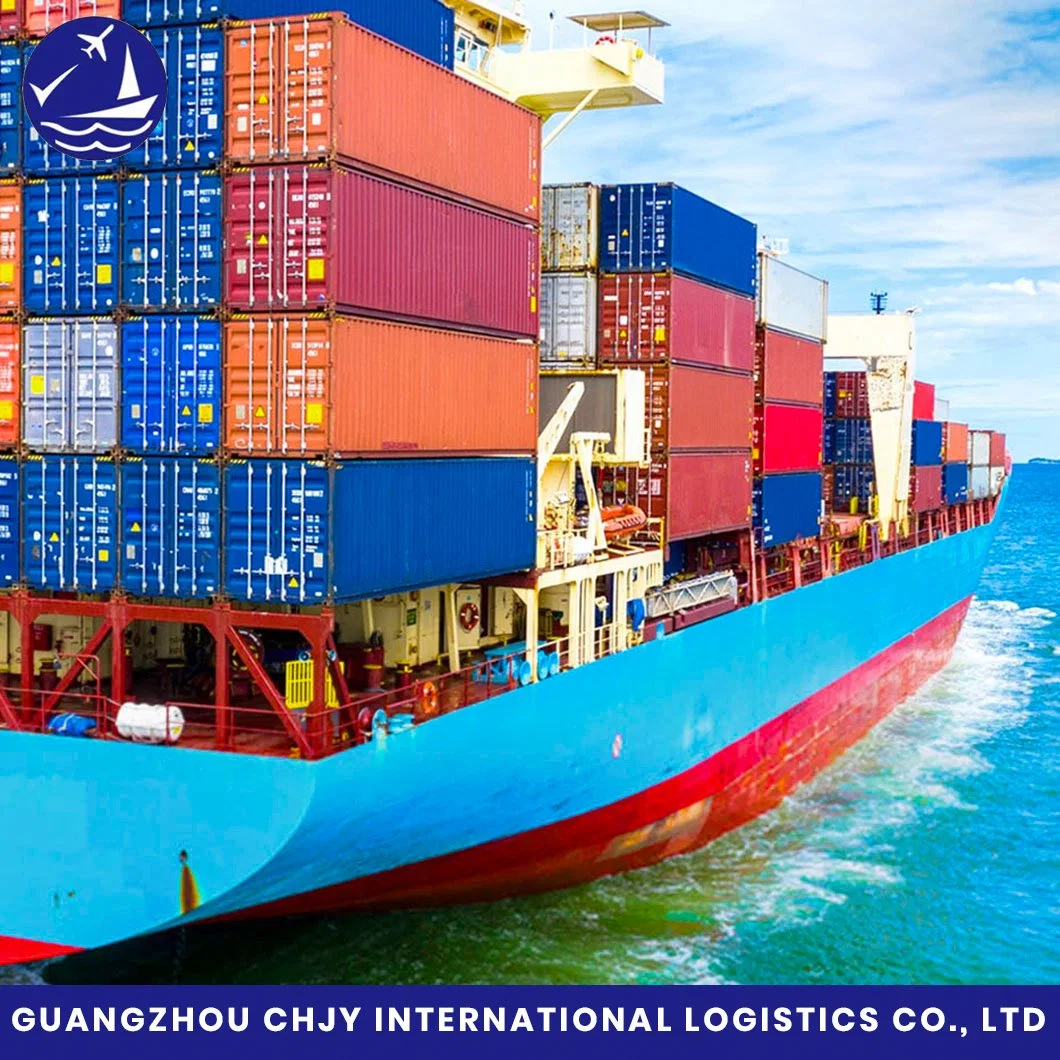 Shipping From China Shanghai/Shenzhen/Ningbo/Qingdao/Tianjin/Dalian to USA/Canada/Europe/UK/Australia Professional Shipping Freight Forwarder Sea Freight