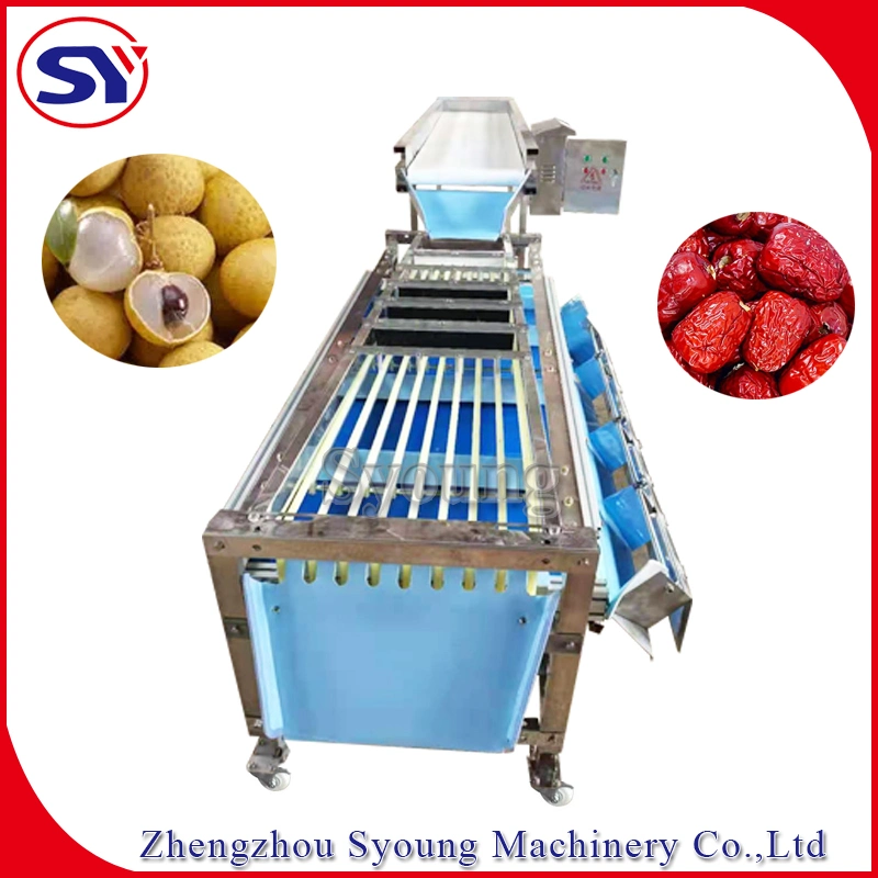 Jujube Date Longan Track Fruit Sorting Grading Machine