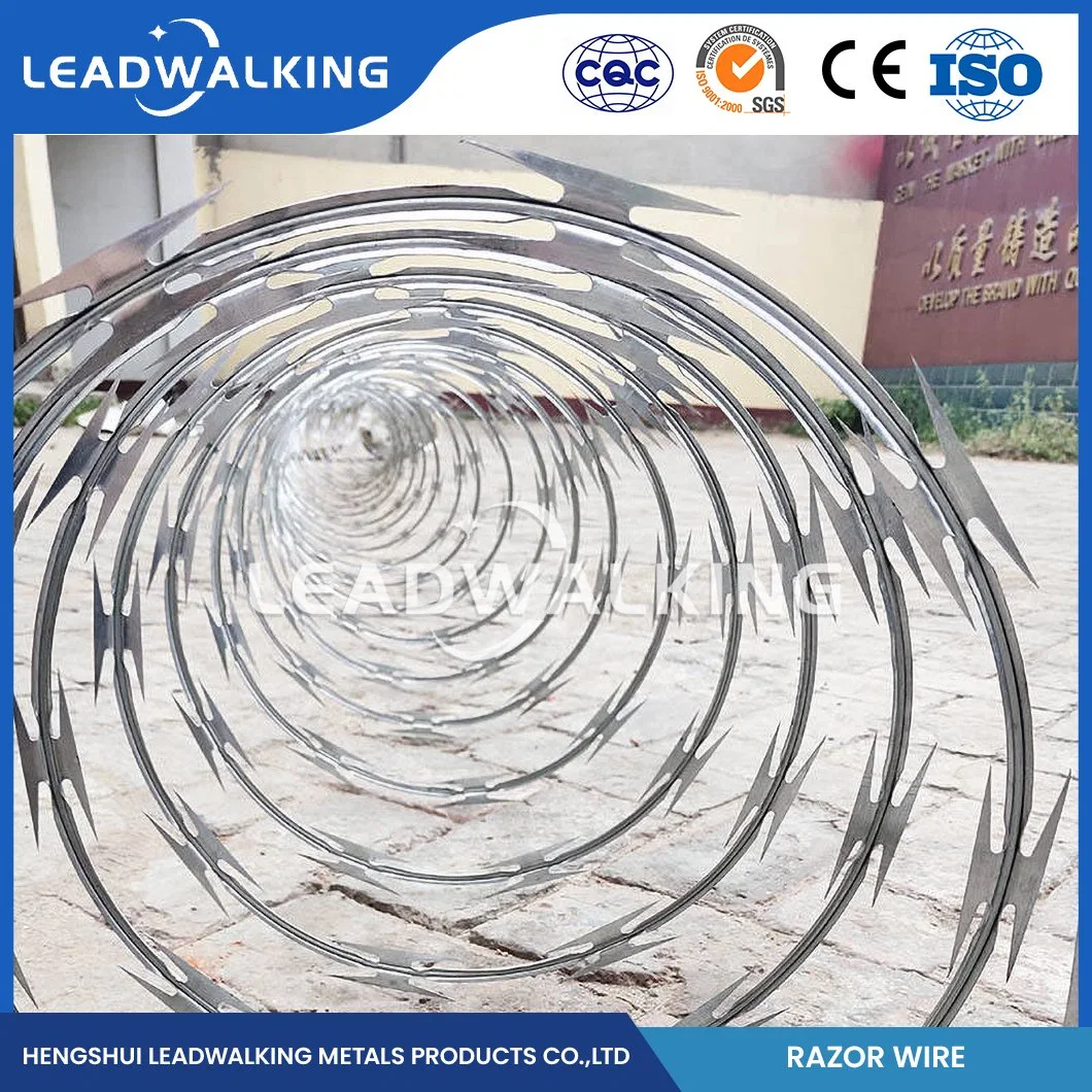 Leadwalking Tiger Tape Razor Wire Fabricators 60mm Needle Spacing Cross Navaja alambre de barbed China 6mm diámetro mejor alambre de la navaja