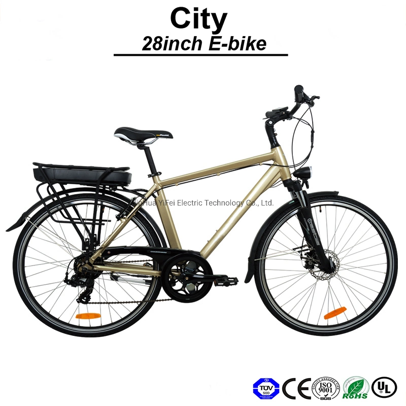 Montain Electric Bike Electrci Bicycle with Ce and En15194