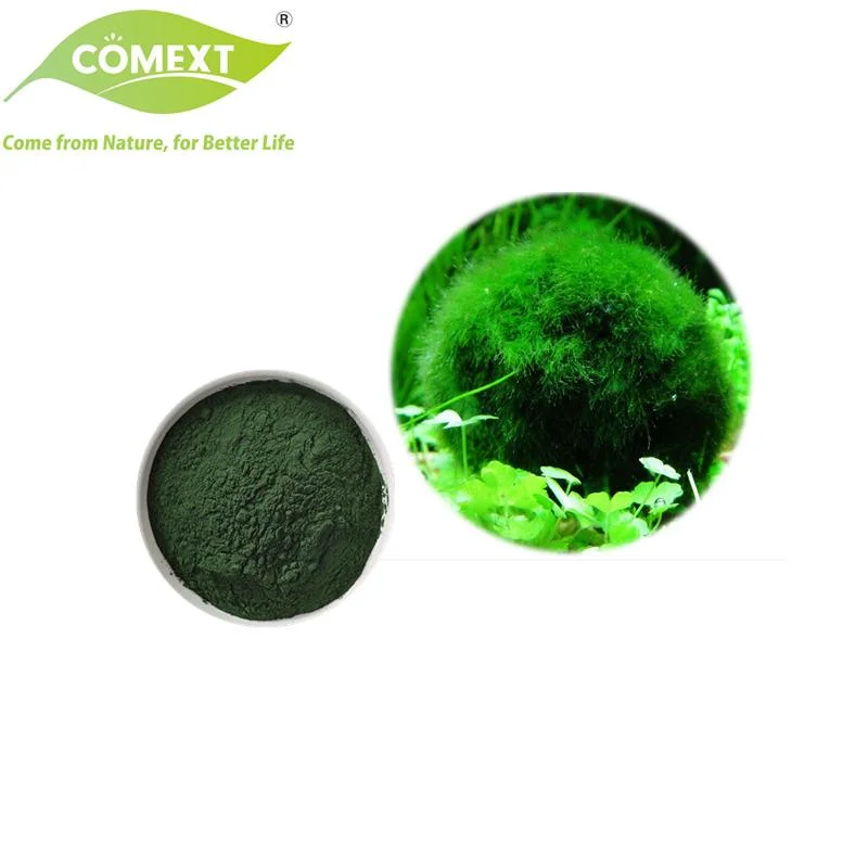 Comext Hot Selling Lower Blood Fat Nutritional Supplement Chlorella Vulgaris Powder Chlorella