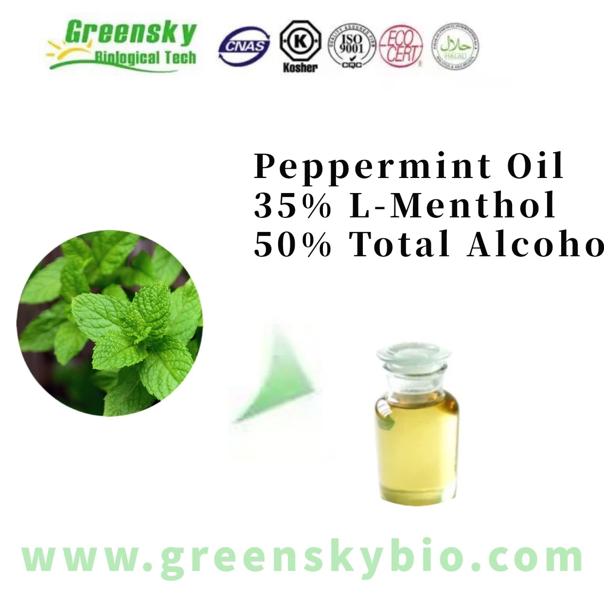 Organic Chemical Raw Material Natural Perfume Peppermint Oil CAS 8006-90-4 35% L-Menthol, 50% Total Alcohol Extract