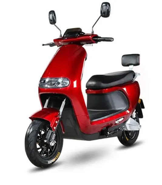 2022 Electric Scooter 1000W, Mini Motorcycle Electric for Adult, Electric Motorcycle for Sale