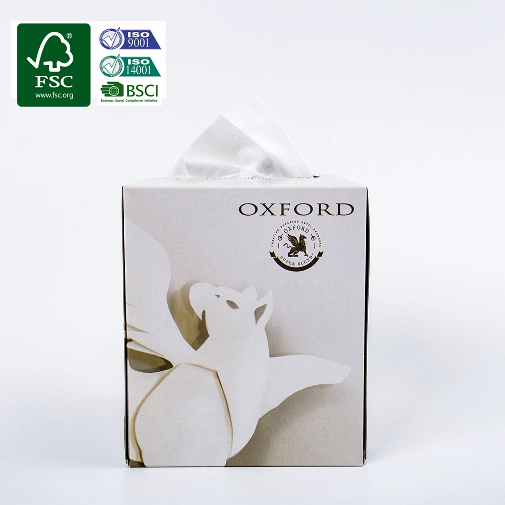 Wholesale/Supplier Cheap Price Flat Box Big Soft Plastic Pack Cube Box Paper Facial Tissue