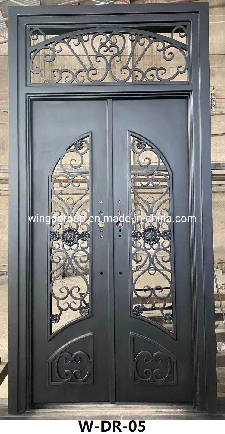 Four Style Side Fixed Iron Security Steel Exterior Door W-Dr-02