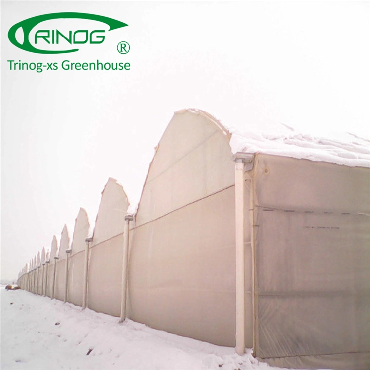 Commercial Large Plastic Film Green House for Plant Growth