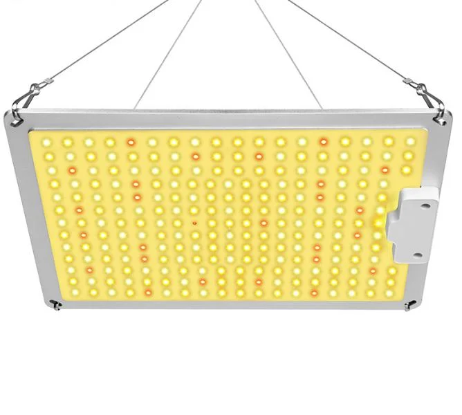 2022 Nouvelle lampe LED GROW Light 1000 W LED d'usine pleine Lampe de l'usine Spectrum pour l'usine