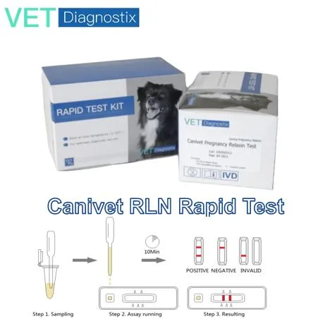 PET RLN diagnostic Kit Canine grossesse Relaxin Test rapide