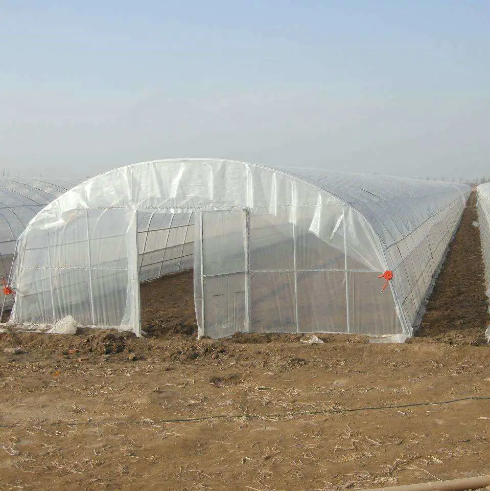 Agriculture Single Span High Tunnel Greenhouse Plastic Cover for Sale