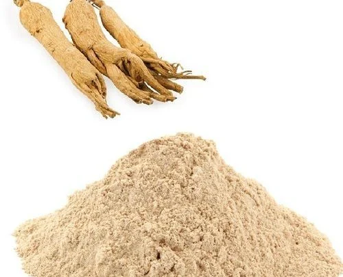 Pure Plant Extracts Improve Immunity Organic Ginsenosides Ginseng Extract Powder