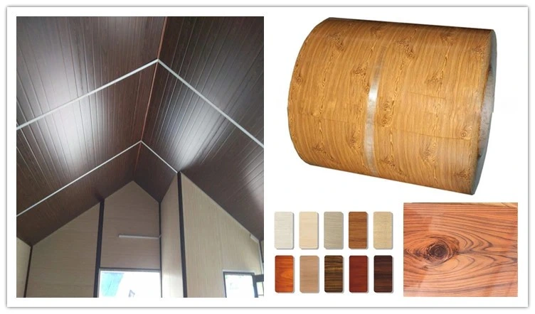 VCM Steel Plate PVC Film Laminated Prepainted Galvanized Steel Coil Sheets Appliance Wall Panel